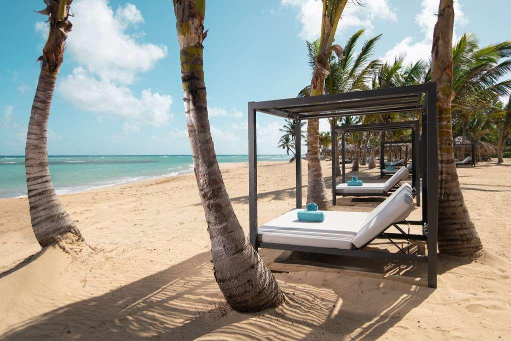 Live Aqua Beach Resort Punta Cana Naturaleza foto
